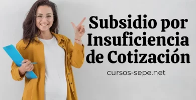 Requisitos y características para cobrar el subsidio por Insuficiencia de Cotización