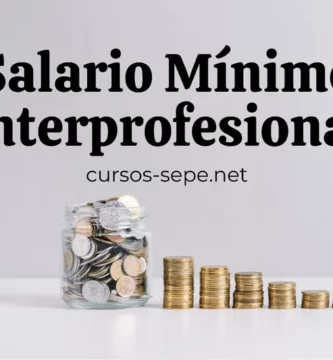 Todos los datos sobre el Salario Mínimo Interprofesional fijado en España.