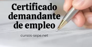 Consigue tu certificado de demandante de empleo en el SEPE por internet fácilmente.