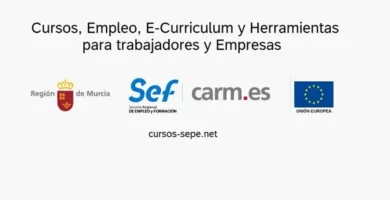 SEFCARM: Servicio de Empleo de la Región de Murcia que ofrece cursos, ofertas de empleo y herramientas para trabajadores y empresas.