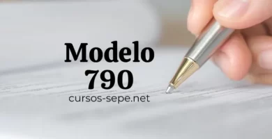 Pasos para completar correctamente el Modelo 790 de forma online para pagar las tasas a la administración publica española.
