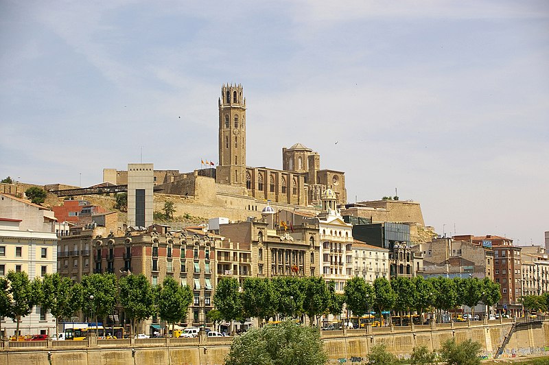 Accede ahora a todos los cursos del SEPE disponibles en la localidad de Lleida y sus municipios limítrofes.