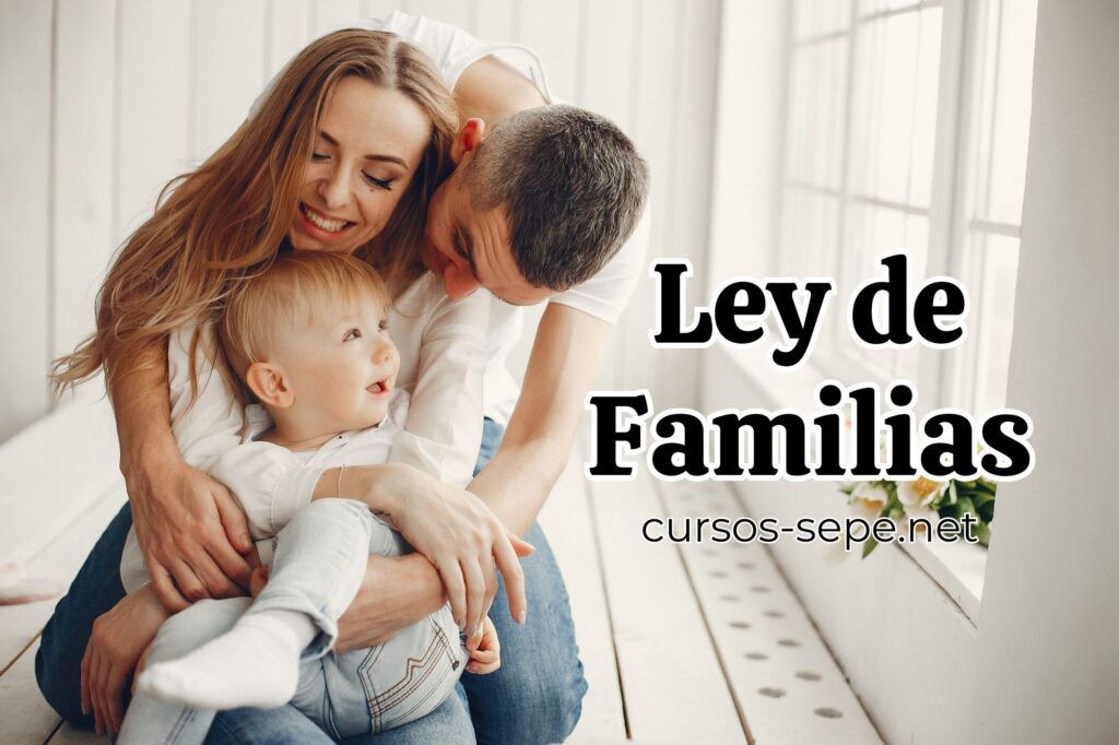 Familia que podrá beneficiarse de todas las ayudas que propone la nueva ley de familias.