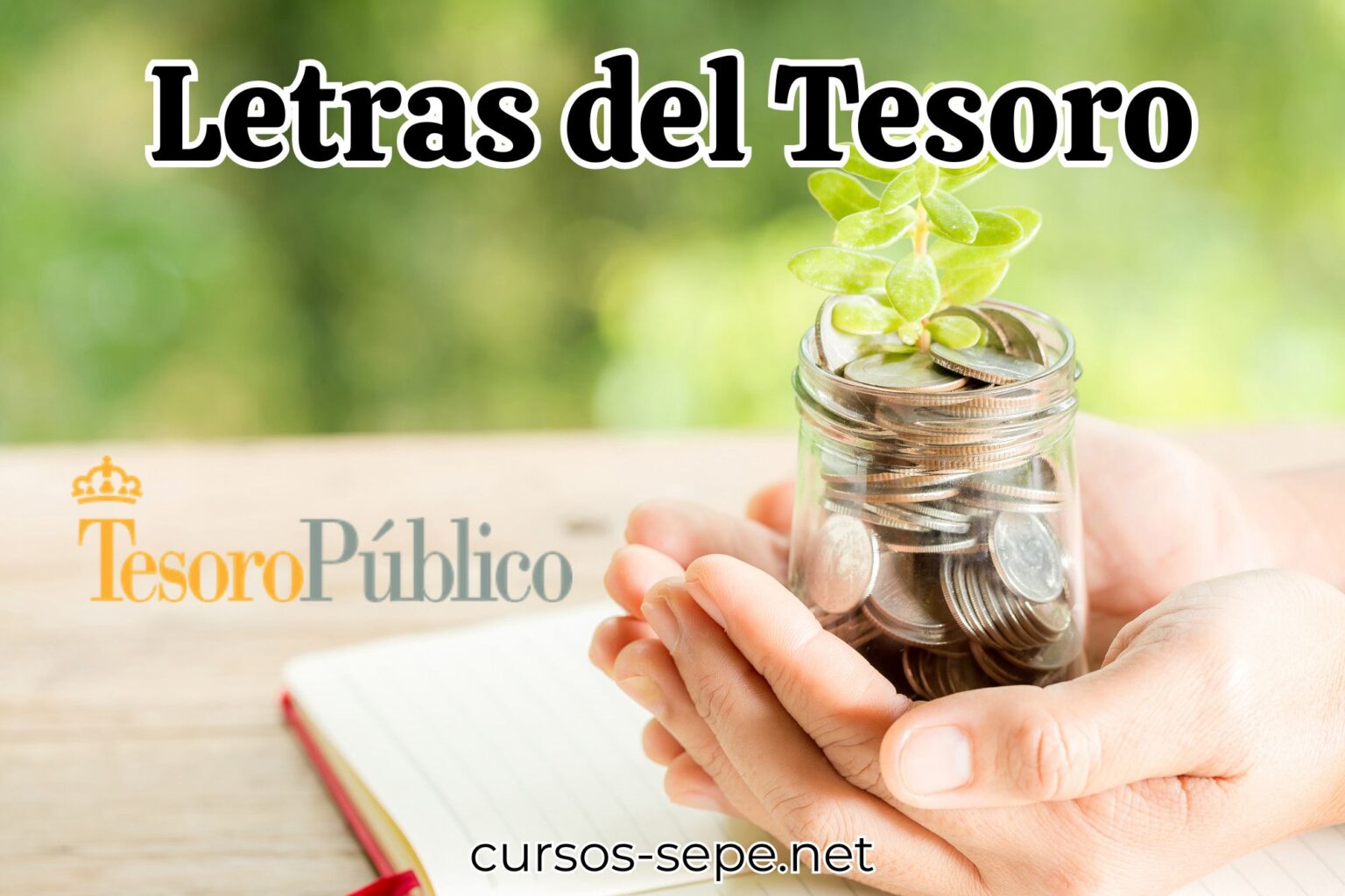 Letras del Tesoro: ¿Qué son y cómo conseguirlas? - Cursos SEPE
