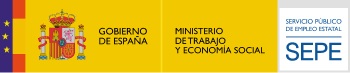 Cursos ofrecidos por el Ministerio de Trabajo y Economía Social de España