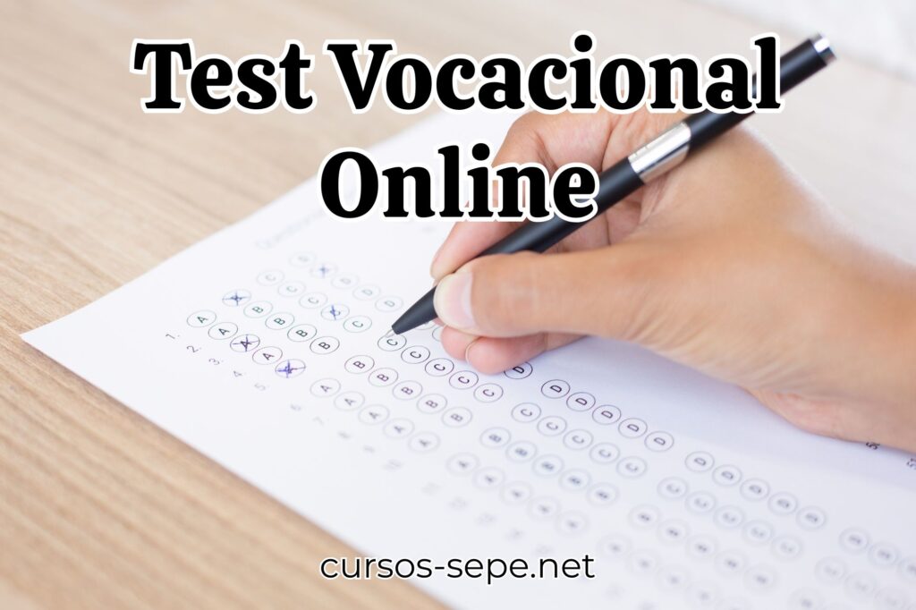 Ejemplo de realización de un test vocacional de forma online.